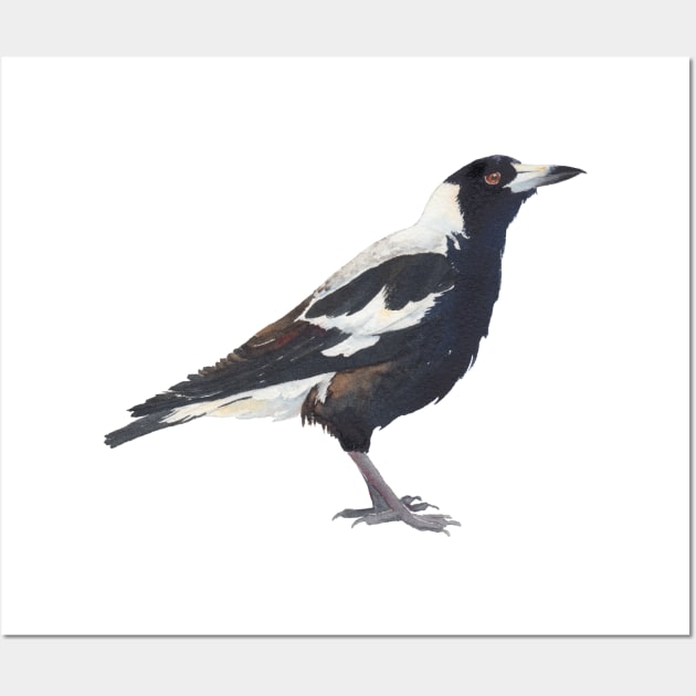 Australian magpie - black & white bird Wall Art by ZoyaArt